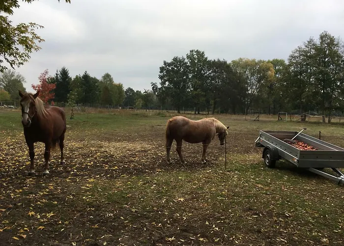 Holiday home Fischer's Haeuschen *